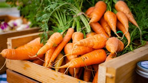 Carrots: Nature's Antioxidant Powerhouse